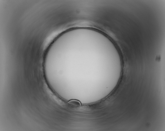 X0000112501464200909071233