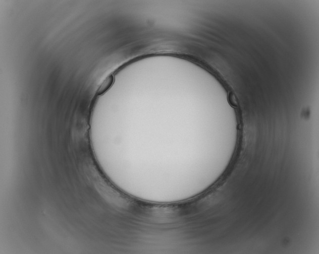 X0000112501465200909071233