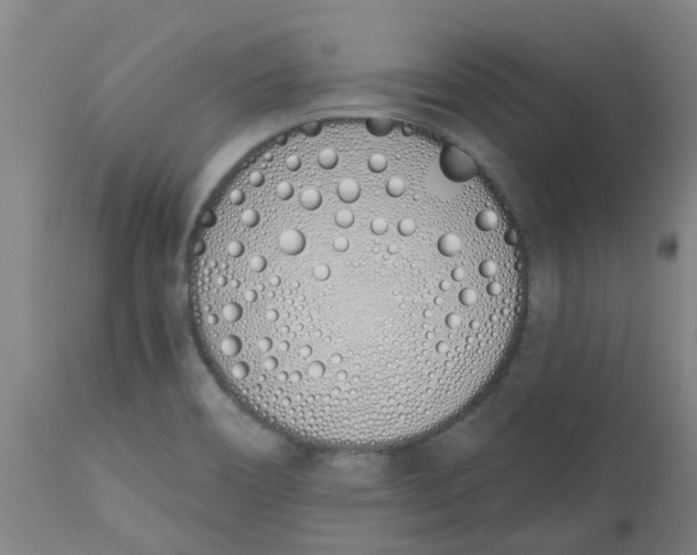 X0000112501466200909071233