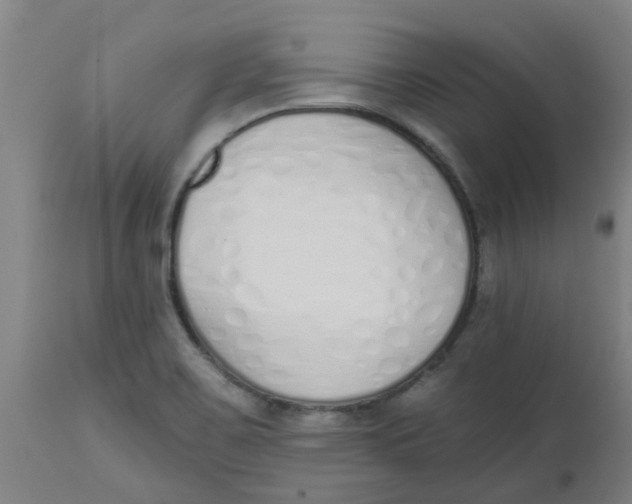 X0000112501467200909071233