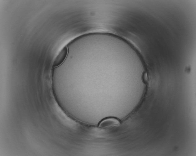 X0000112501468200909071233