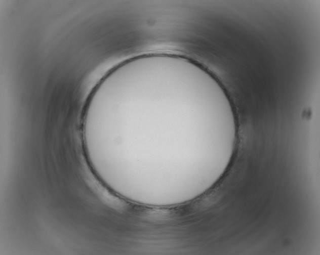 X0000112501470200909071233