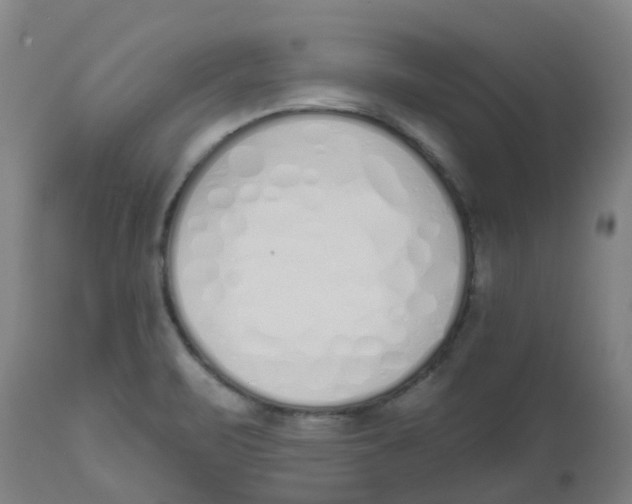 X0000112501471200909071233