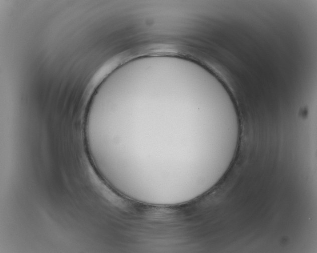 X0000112501475200909071233