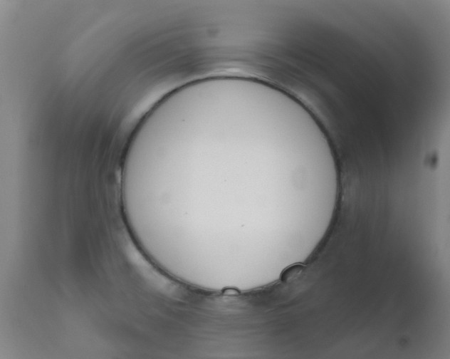 X0000112501476200909071233