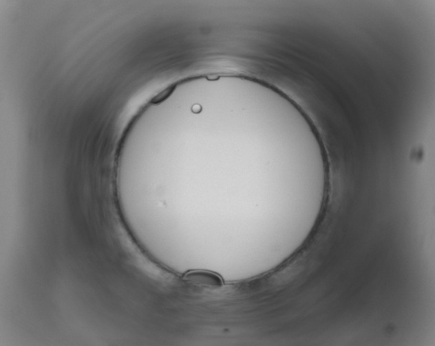 X0000112501477200909071233