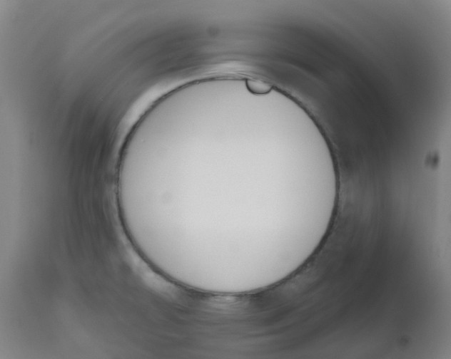 X0000112501478200909071233