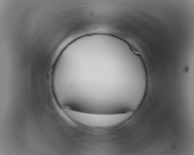 X0000112501480200909071233