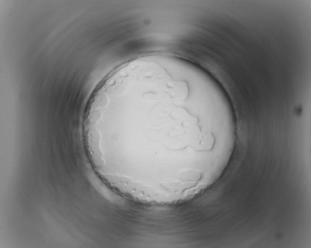 X0000112501482200909071233