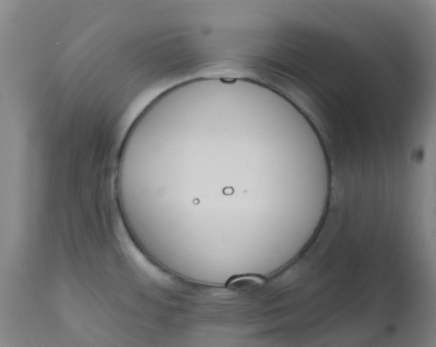 X0000112501484200909071233