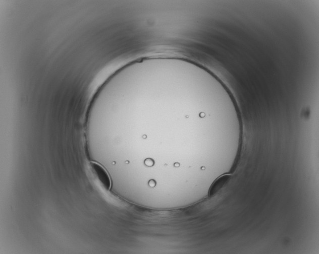 X0000112501485200909071233