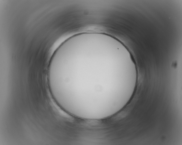 X0000112501486200909071233