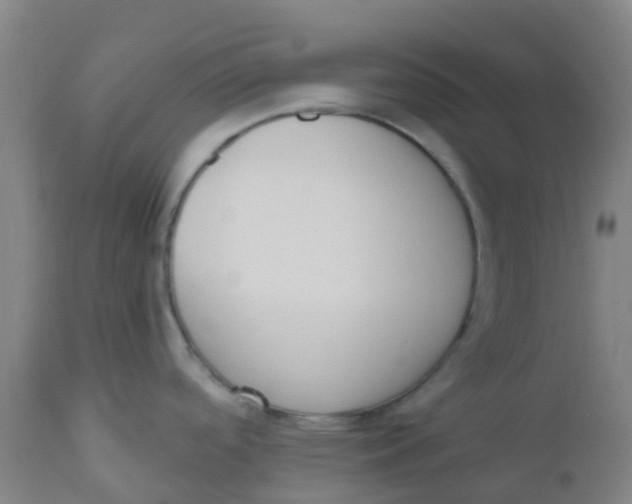 X0000112501488200909071233