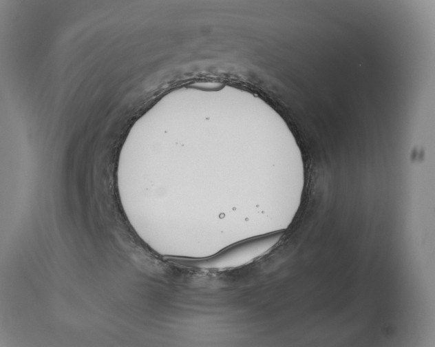 X0000112501489200909071232