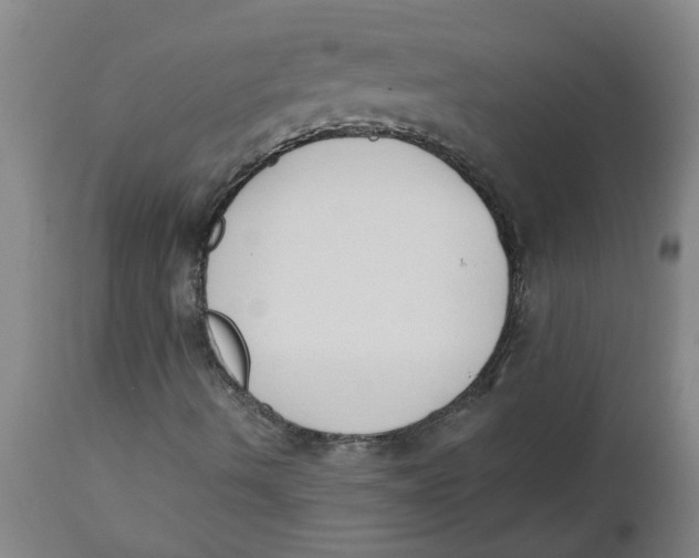 X0000112501490200909071232