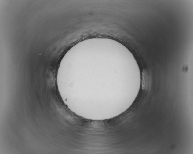 X0000112501491200909071232