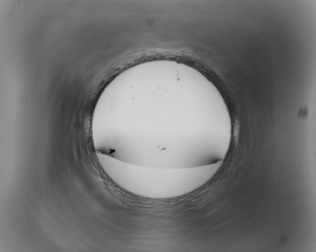 X0000112501492200909071232