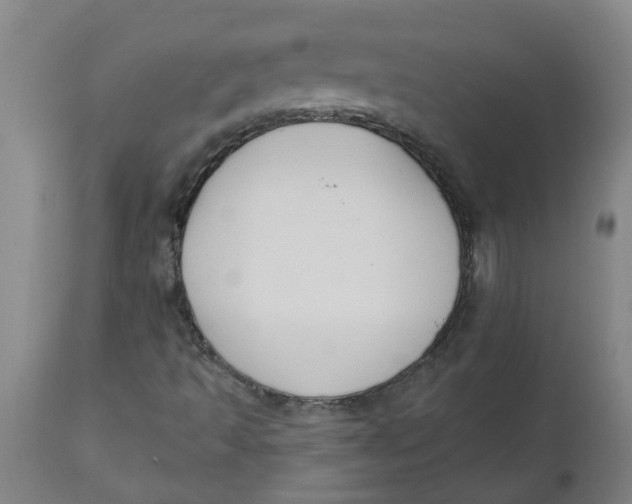 X0000112501493200909071232