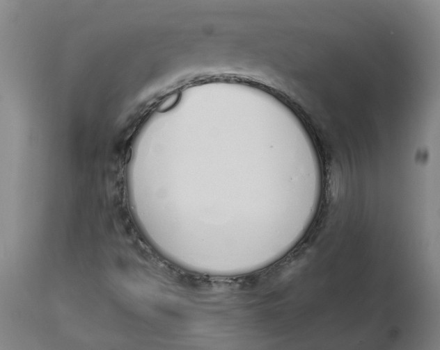 X0000112501494200909071232