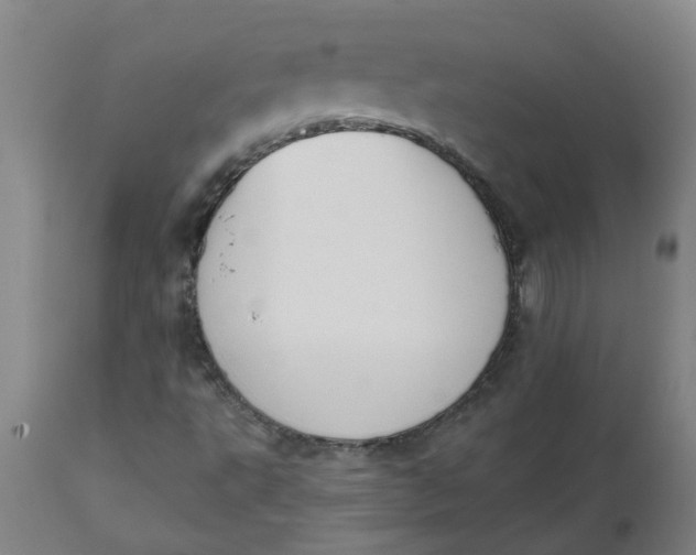 X0000112501495200909071232