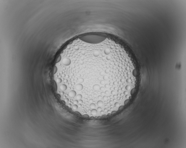 X0000112501497200909071232