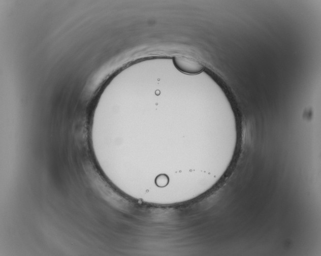 X0000112501498200909071232