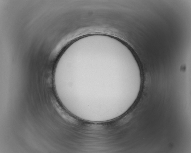 X0000112501499200909071232