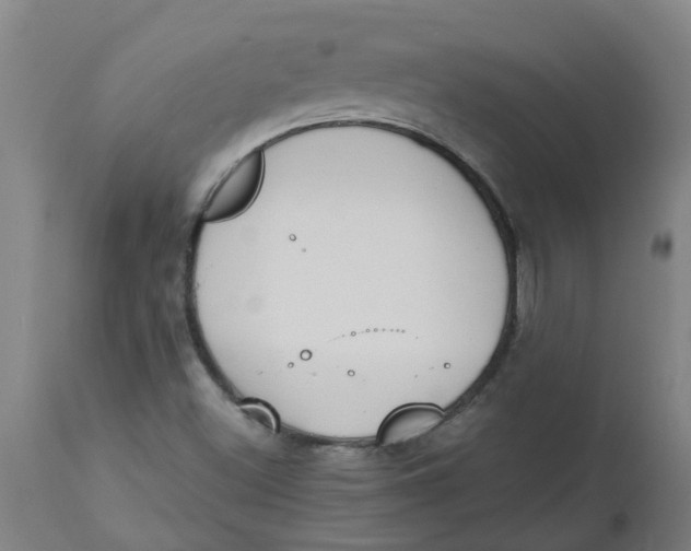 X0000112501500200909071232