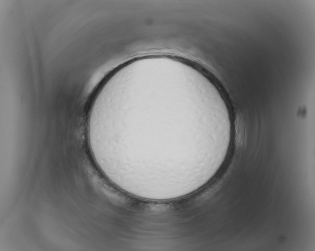 X0000112501501200909071232