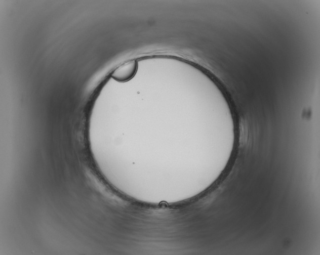 X0000112501502200909071232