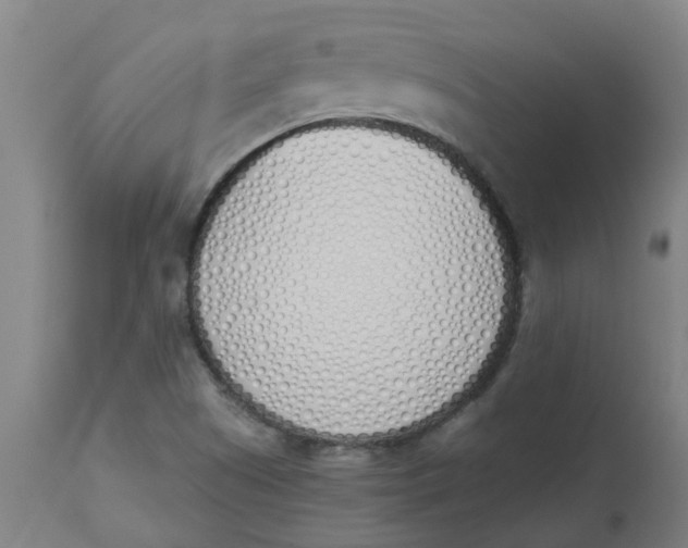 X0000112501505200909071232