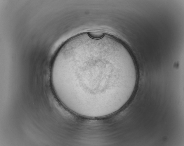 X0000112501506200909071232