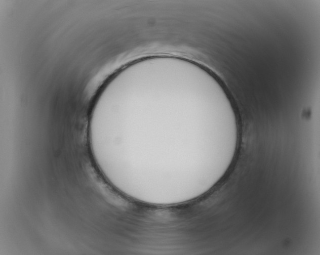 X0000112501507200909071232