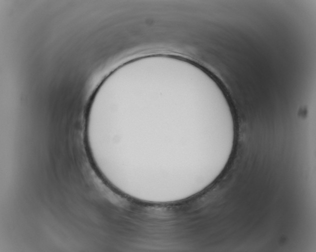 X0000112501508200909071232