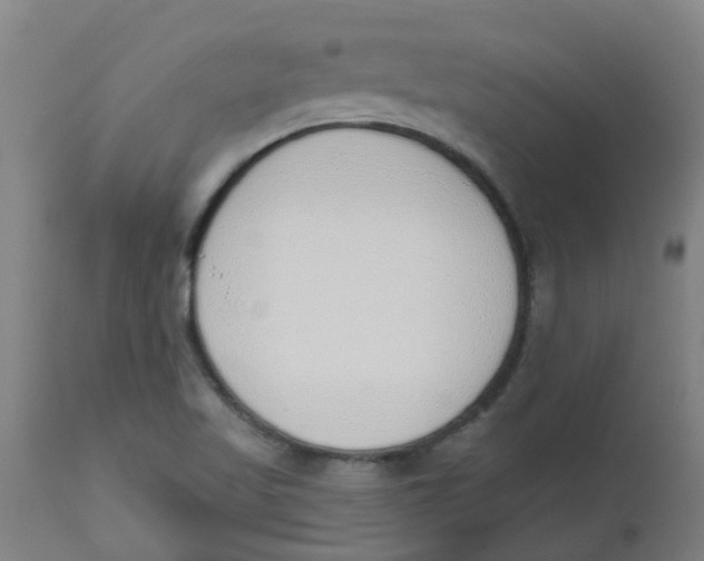 X0000112501509200909071232