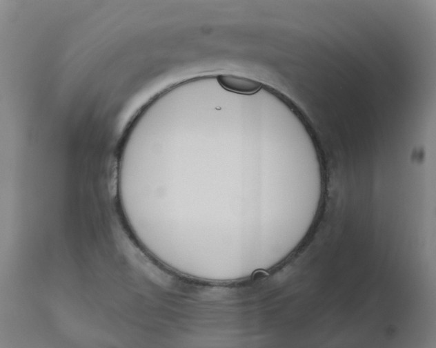 X0000112501510200909071232