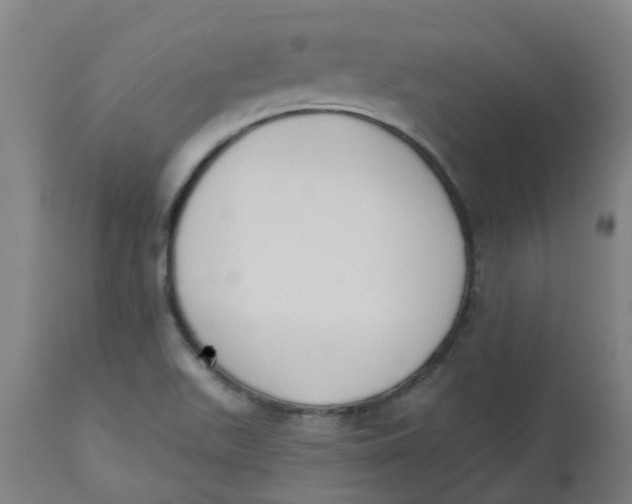 X0000112501511200909071232