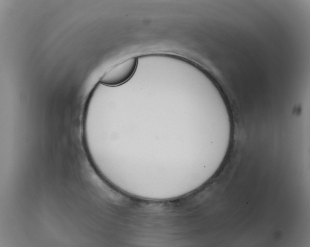 X0000112501512200909071232