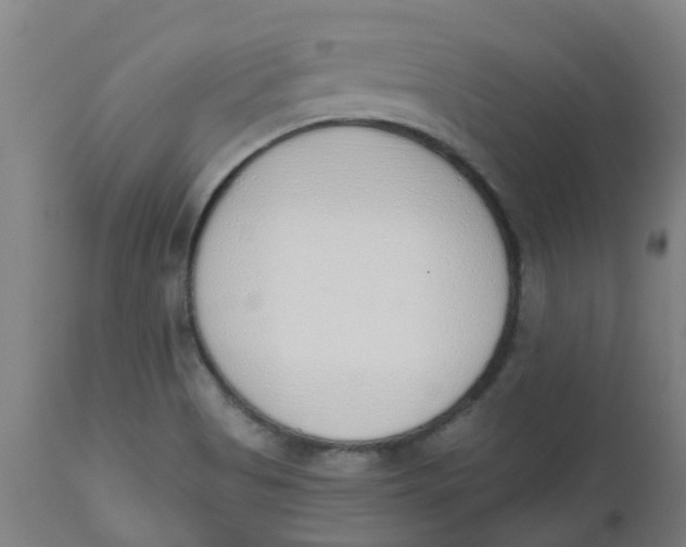 X0000112501513200909071232