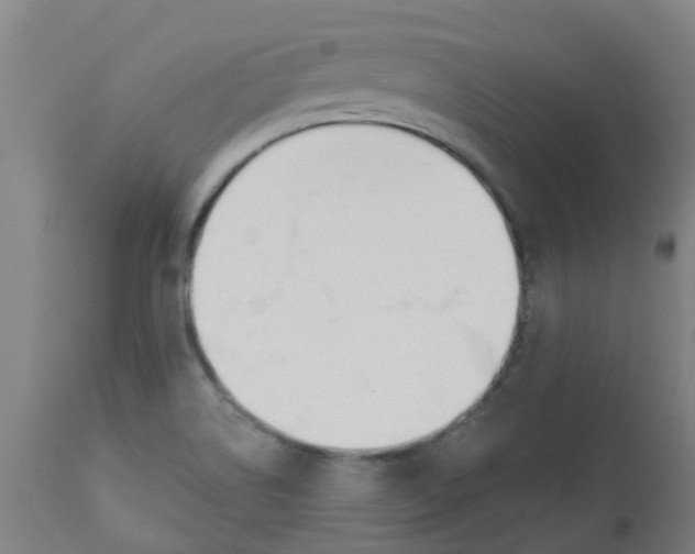 X0000112501514200909071232