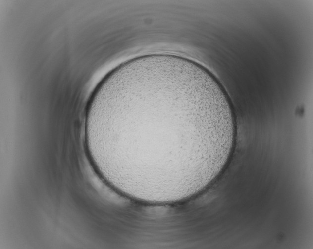 X0000112501515200909071232