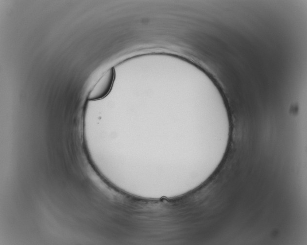 X0000112501516200909071232