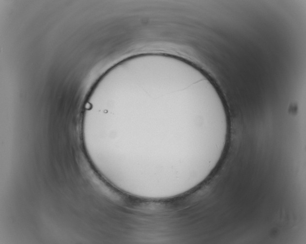 X0000112501517200909071232