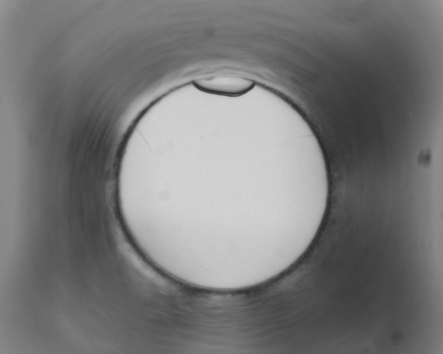 X0000112501518200909071232