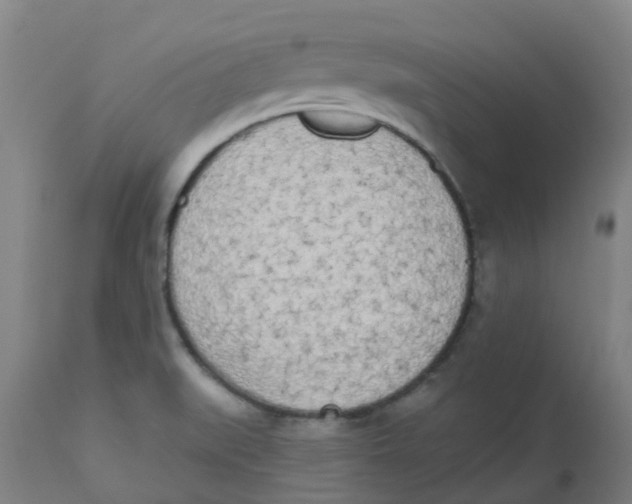 X0000112501519200909071232