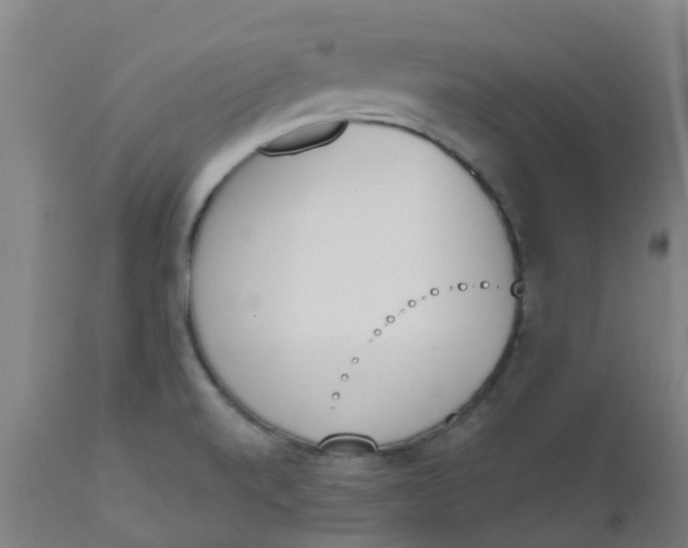 X0000112501520200909071232