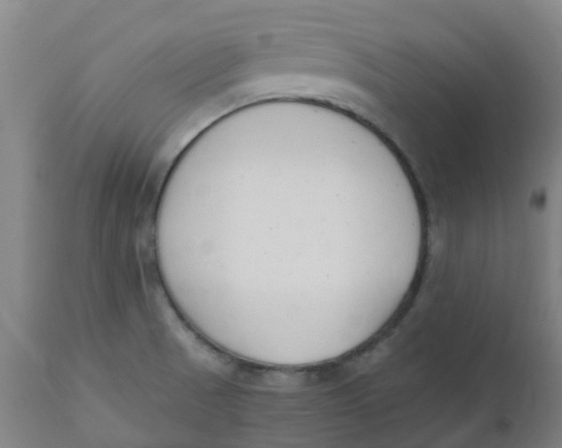 X0000112501521200909071232