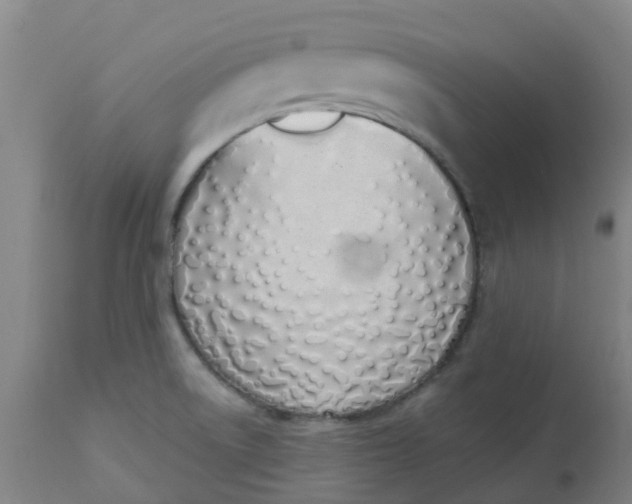 X0000112501522200909071232