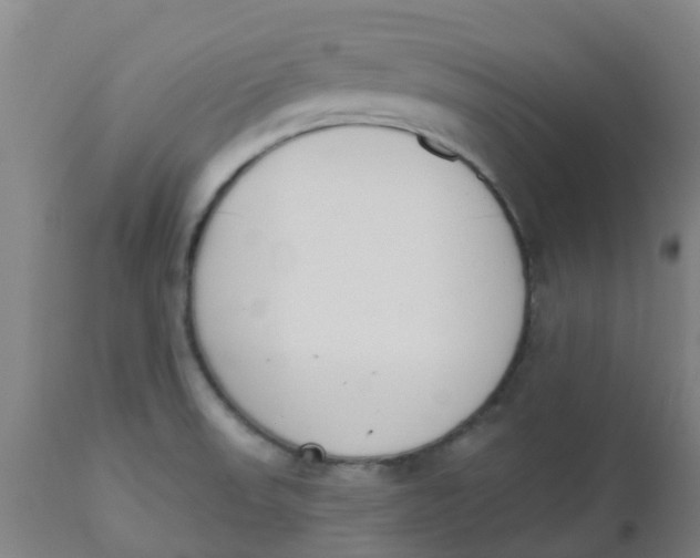 X0000112501523200909071232