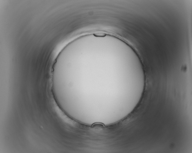 X0000112501524200909071233